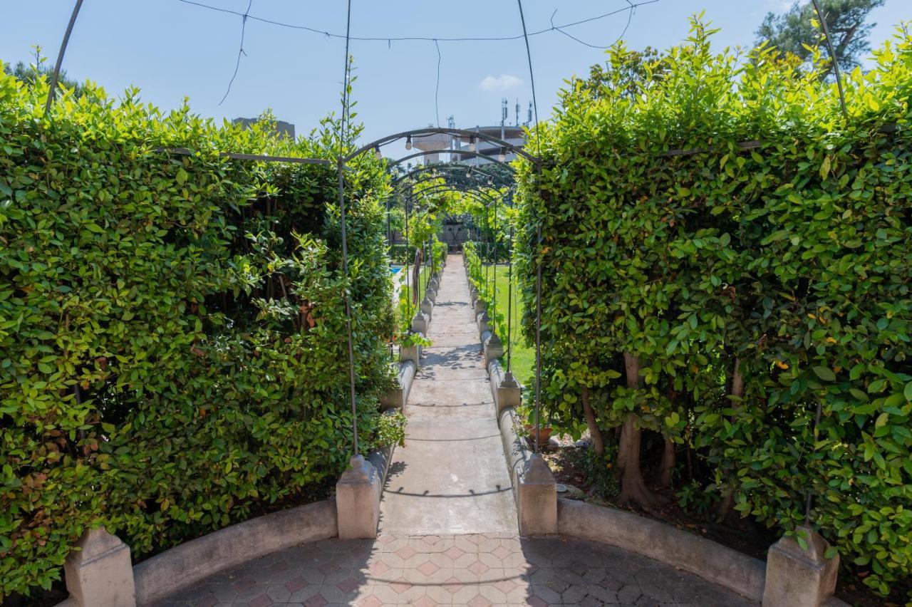 Villa Luisa باري المظهر الخارجي الصورة